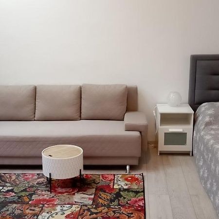Apartament Piata Muzeului 1 Kluż-Napoka Zewnętrze zdjęcie