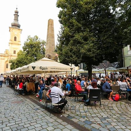 Apartament Piata Muzeului 1 Kluż-Napoka Zewnętrze zdjęcie