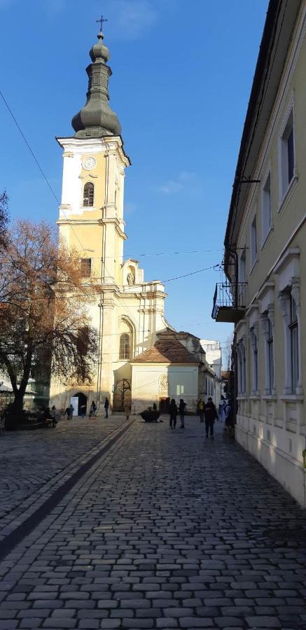 Apartament Piata Muzeului 1 Kluż-Napoka Zewnętrze zdjęcie